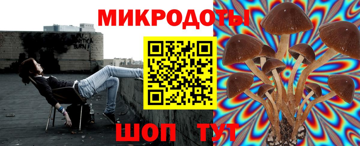 Псилоцибиновые грибы Psilocybine cubensis  Вход с VPN  Ирбит 