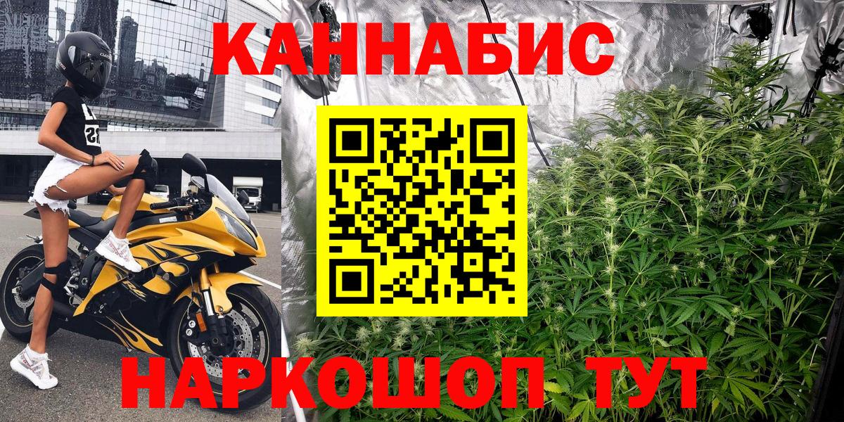 Шишки марихуана планчик  Вход с VPN  Ирбит  Конопля индика  Конопля LSD WEED  Канабис SATIVA & INDICA 