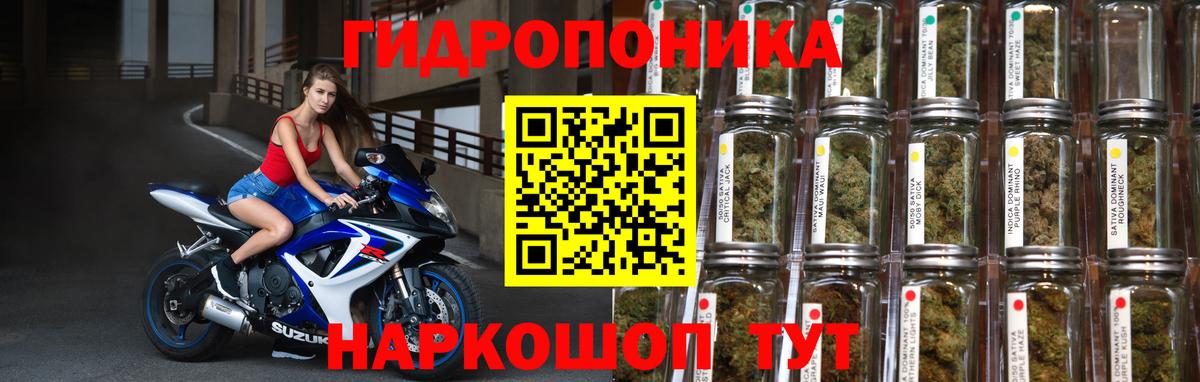 Бошки Шишки план Ирбит